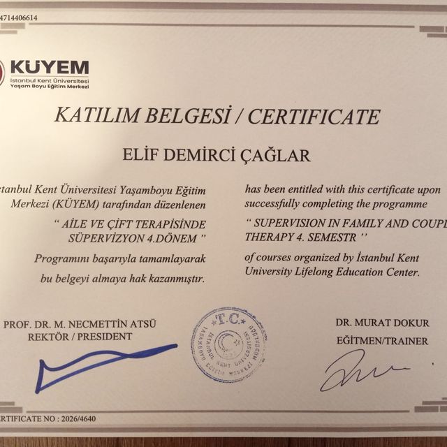 Resmi büyüt: certificate 10