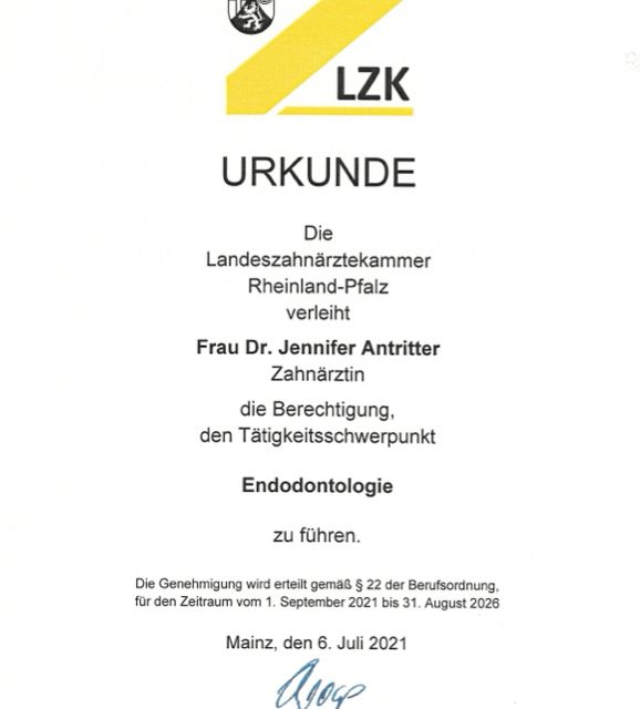 Bild vergrößern: certificate 1