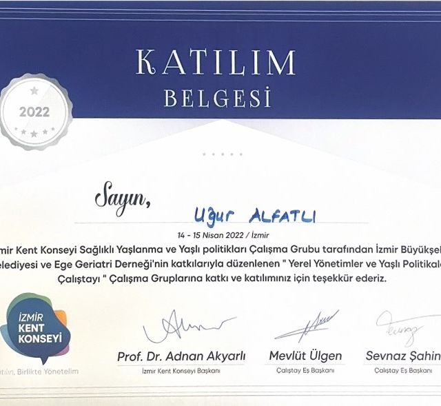 Resmi büyüt: certificate 31