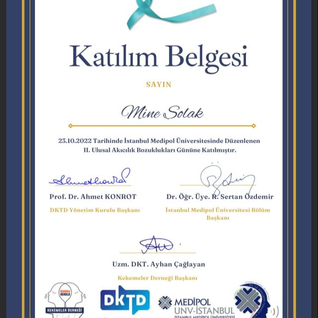Resmi büyüt: certificate 1