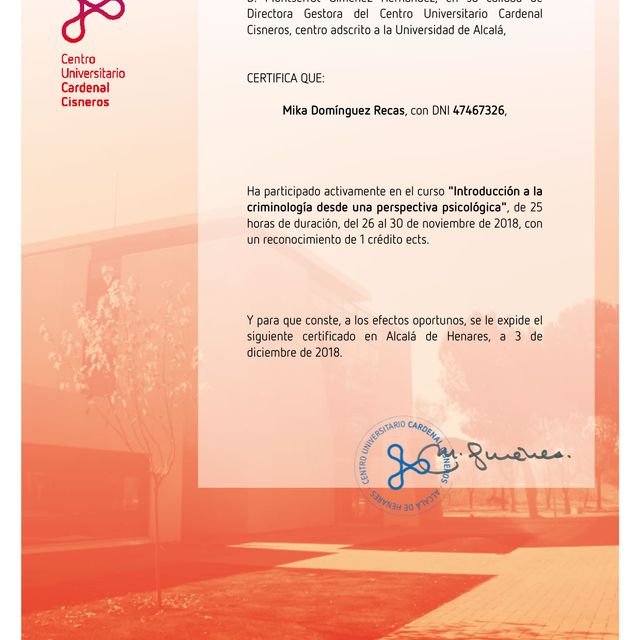 Acercar imagen: certificate 35