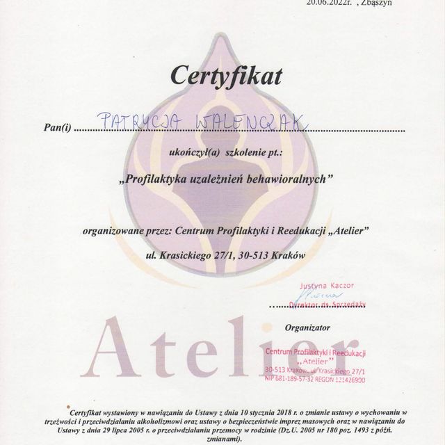 Powiększ obraz: certificate 9