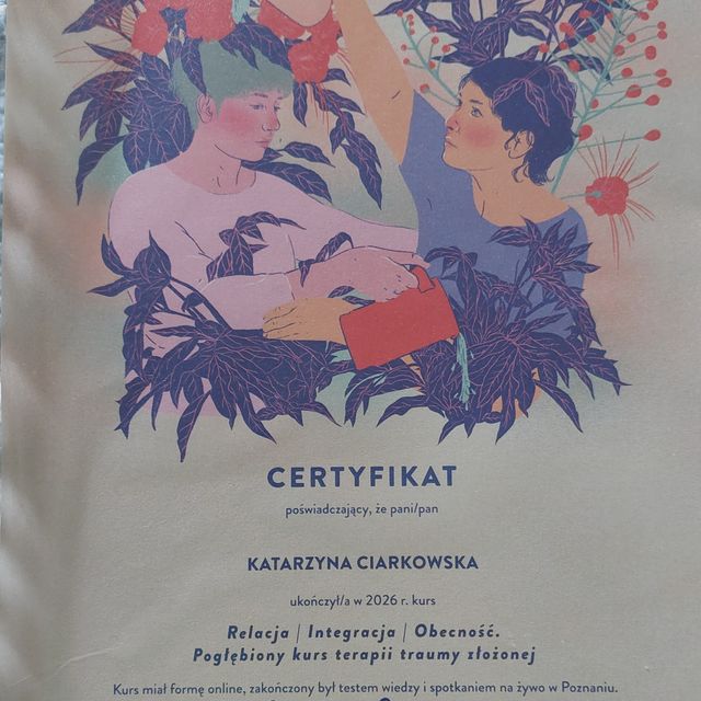 Powiększ obraz: certificate 8