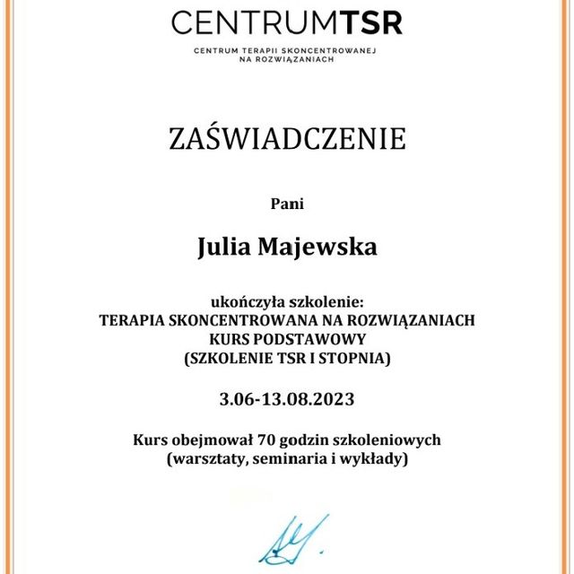 Powiększ obraz: certificate 3