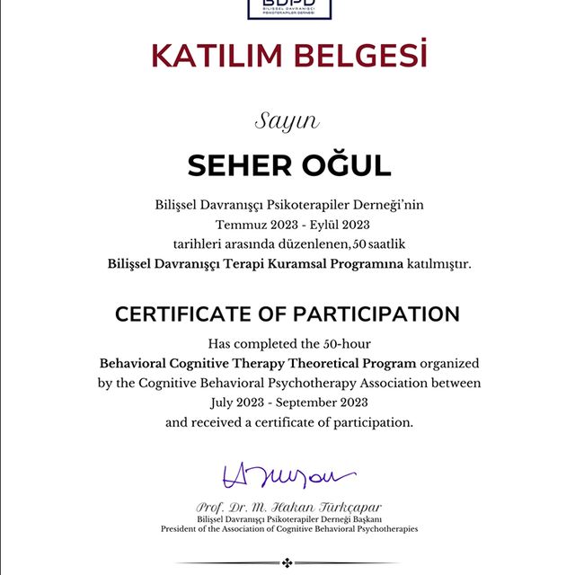 Resmi büyüt: certificate 4