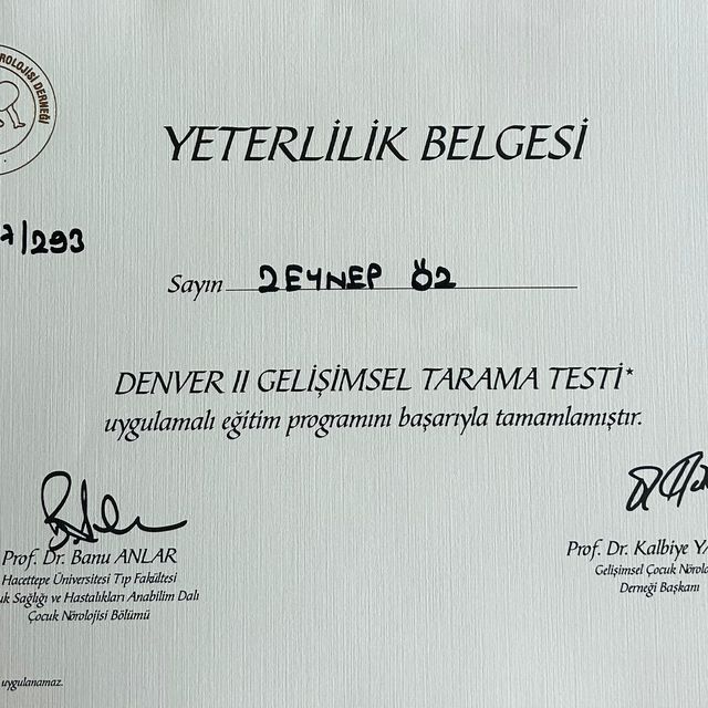 Resmi büyüt: certificate 3