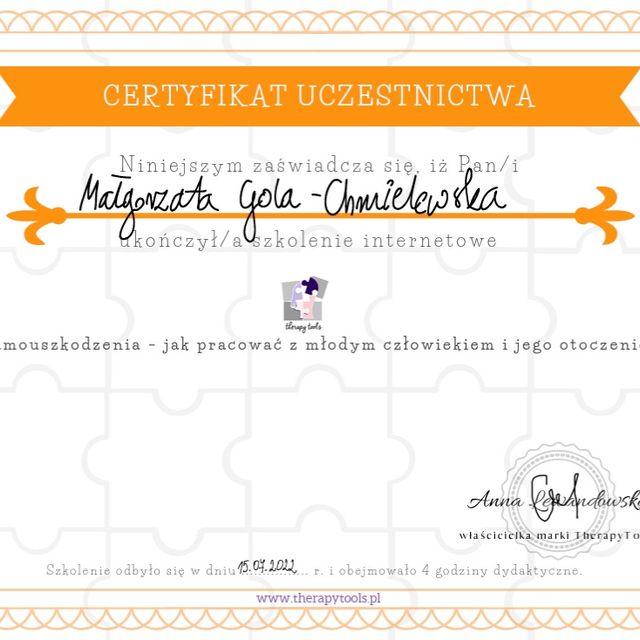 Powiększ obraz: certificate 11