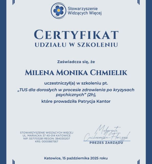 Powiększ obraz: certificate 14