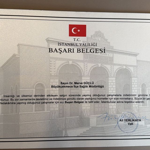 Resmi büyüt: certificate 1