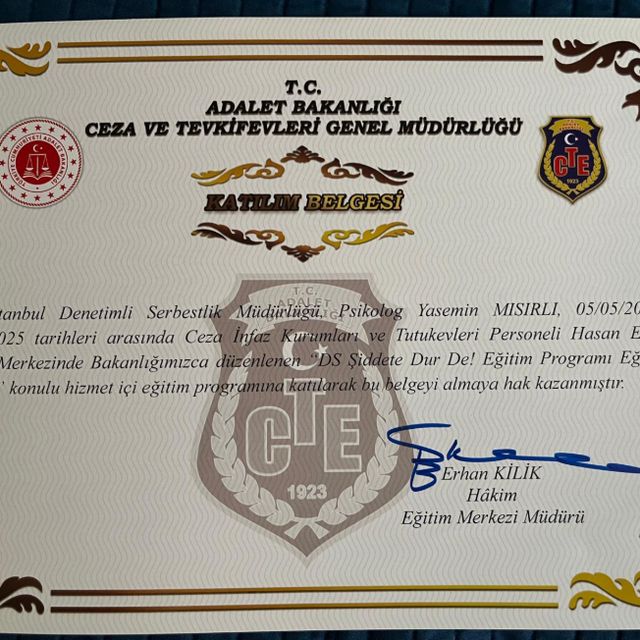 Resmi büyüt: certificate 9