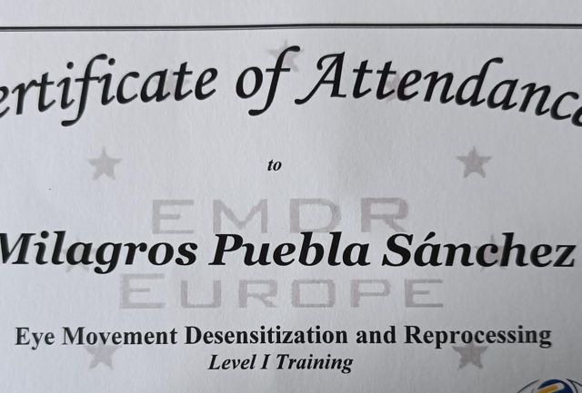 Acercar imagen: certificate 1