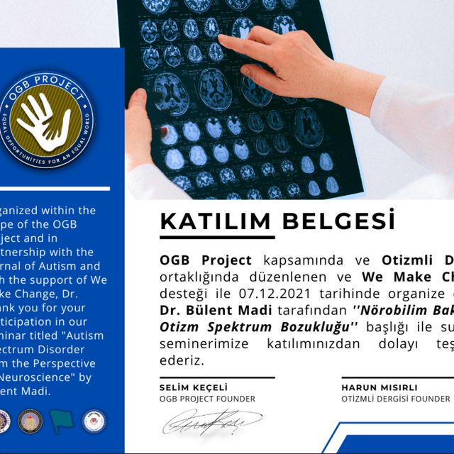 Resmi büyüt: certificate 8