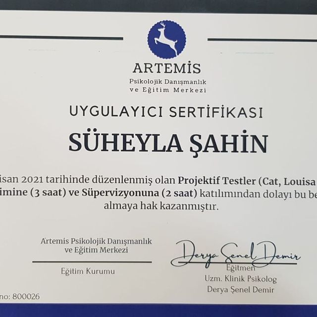 Resmi büyüt: certificate 11