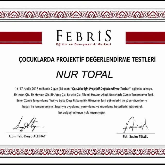 Resmi büyüt: certificate 7