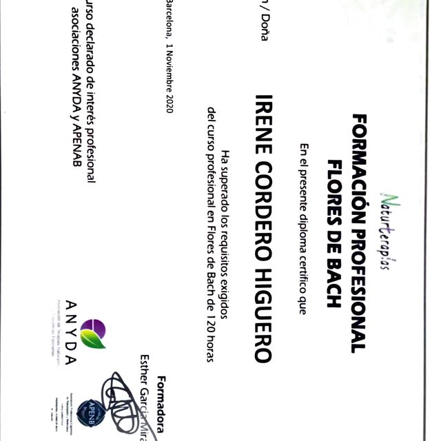 Acercar imagen: certificate 1