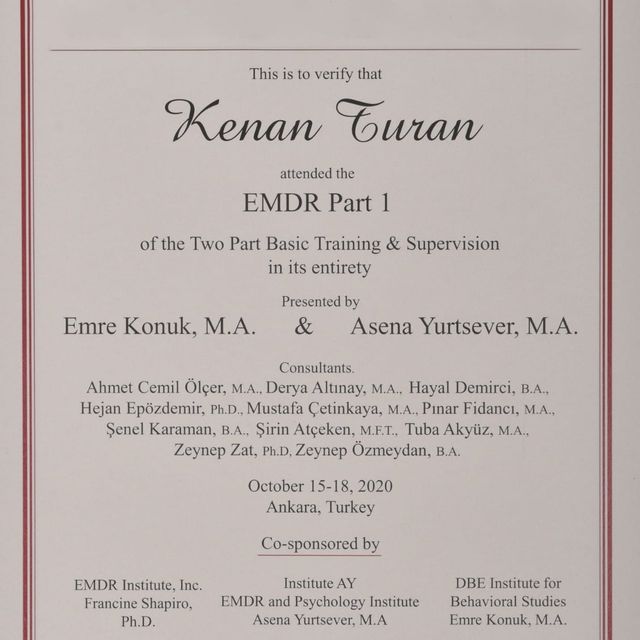 Resmi büyüt: certificate 8