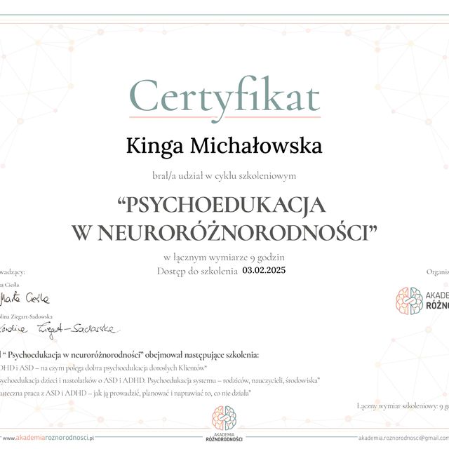 Powiększ obraz: certificate 1