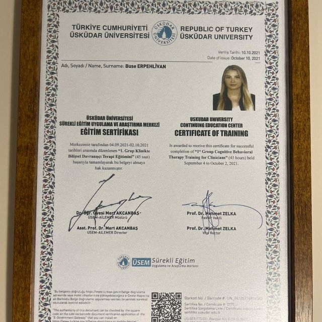 Resmi büyüt: certificate 8