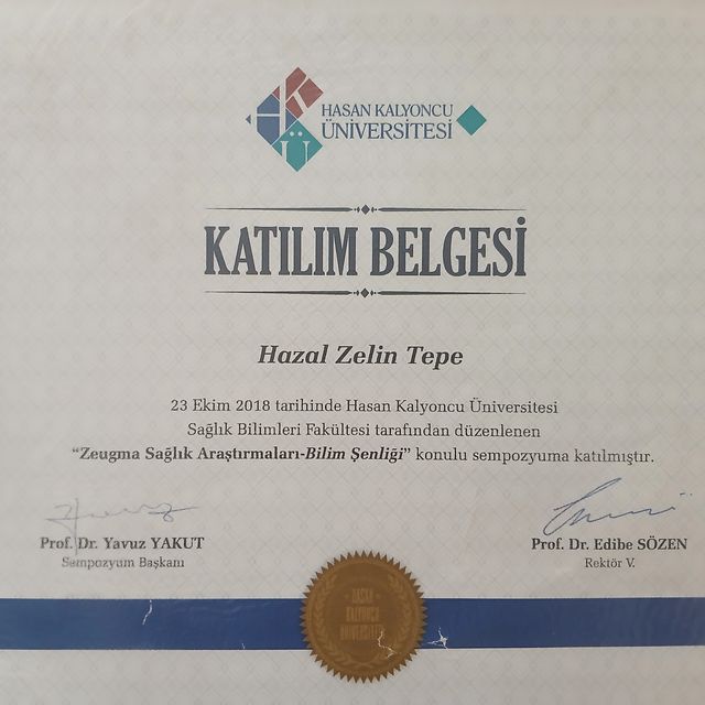 Resmi büyüt: certificate 5
