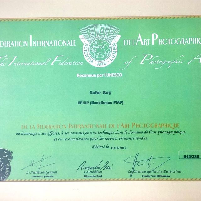 Resmi büyüt: certificate 11