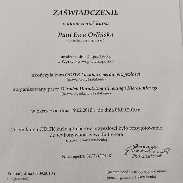 Powiększ obraz: certificate 2