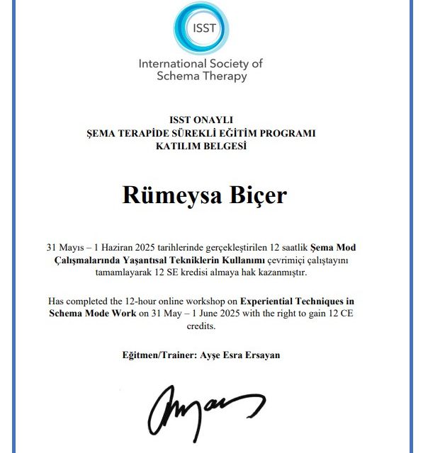 Resmi büyüt: certificate 2