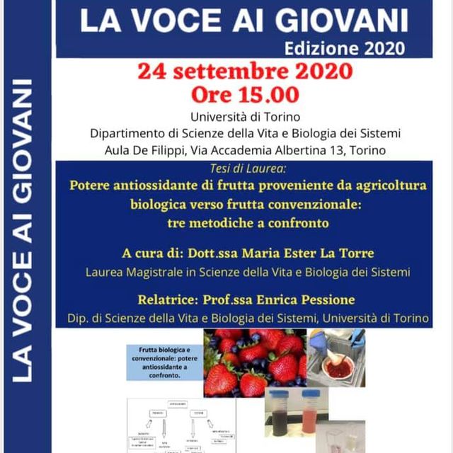 Ingrandire l'immagine: certificate 4