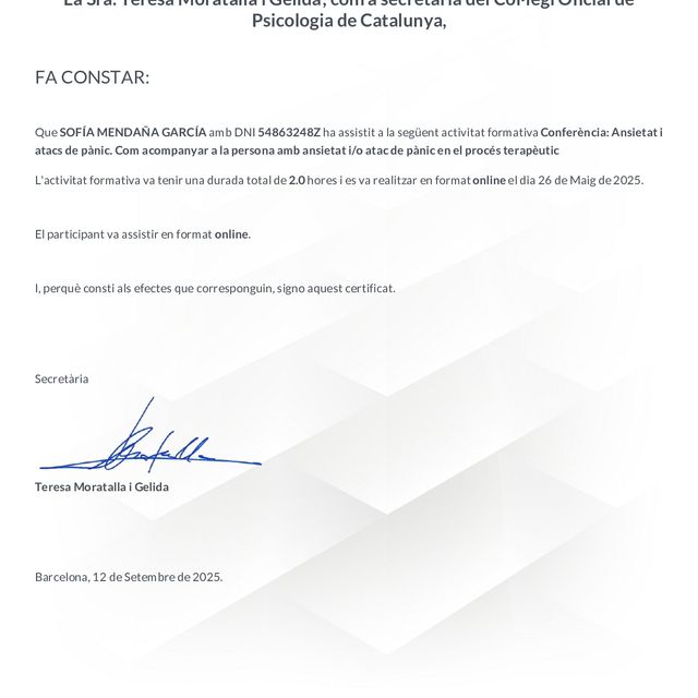 Acercar imagen: certificate 3