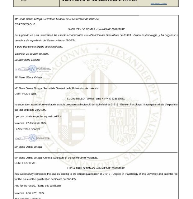 Acercar imagen: certificate 3