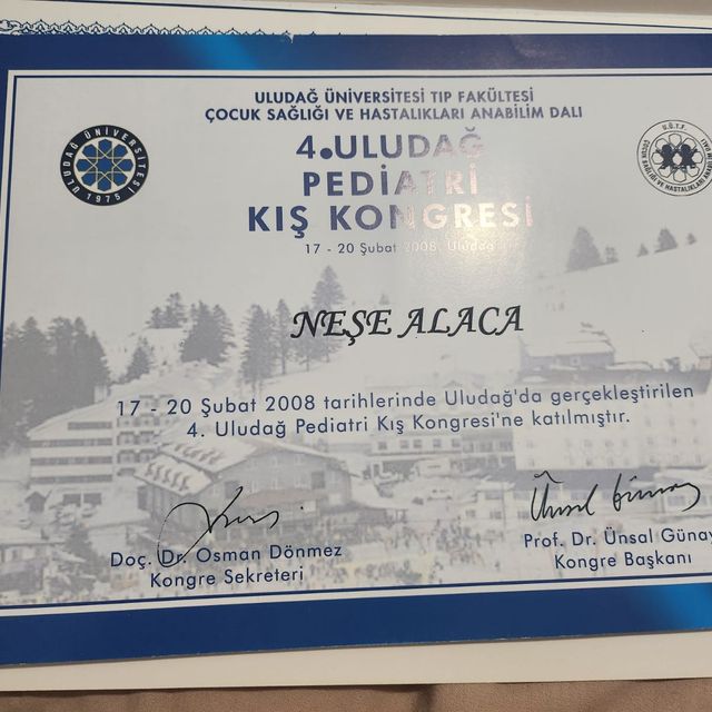 Resmi büyüt: certificate 7