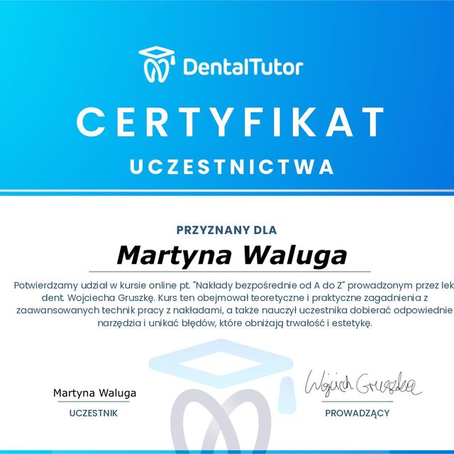 Powiększ obraz: certificate 2