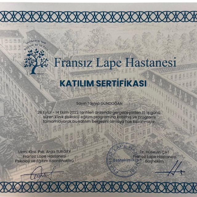 Resmi büyüt: certificate 1