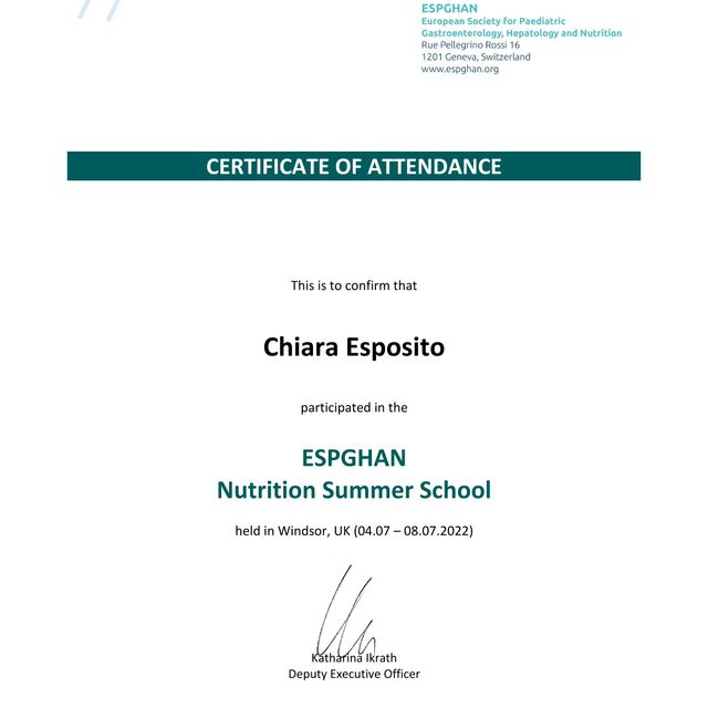 Ingrandire l'immagine: certificate 4