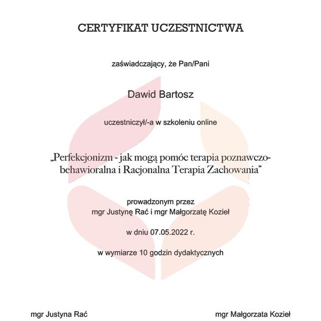 Powiększ obraz: certificate 2