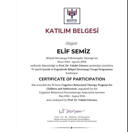 Resmi büyüt: certificate 5