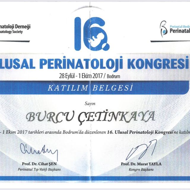 Resmi büyüt: certificate 24