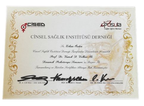 Resmi büyüt: certificate 9