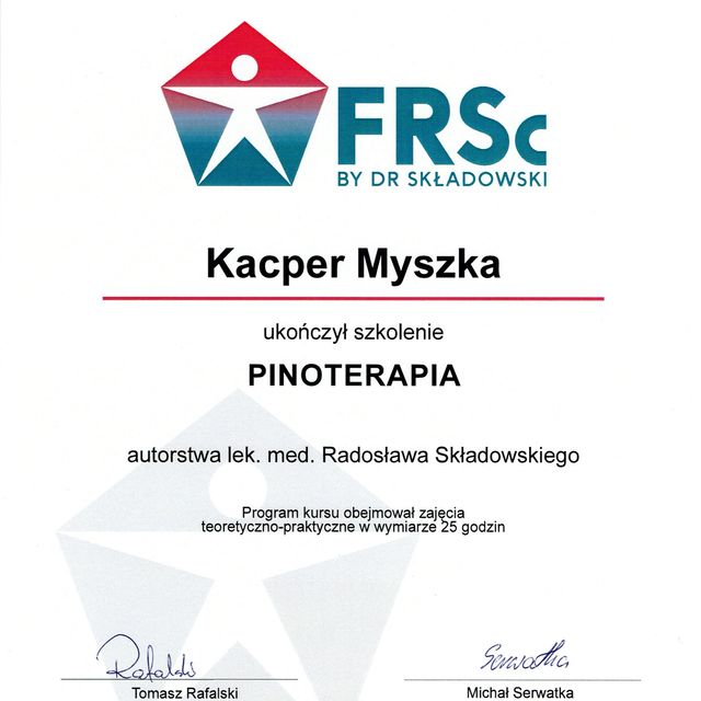 Powiększ obraz: certificate 9