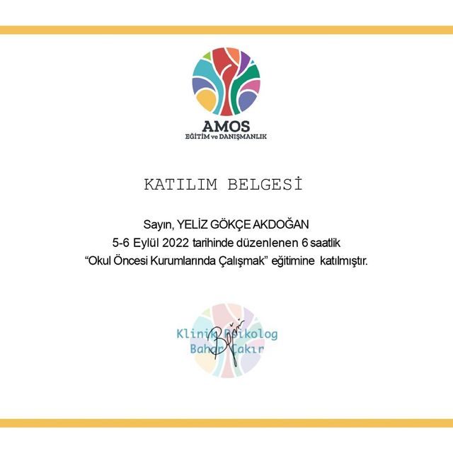 Resmi büyüt: certificate 7