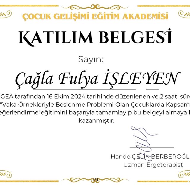 Resmi büyüt: certificate 4