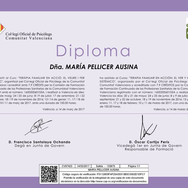 Acercar imagen: certificate 8