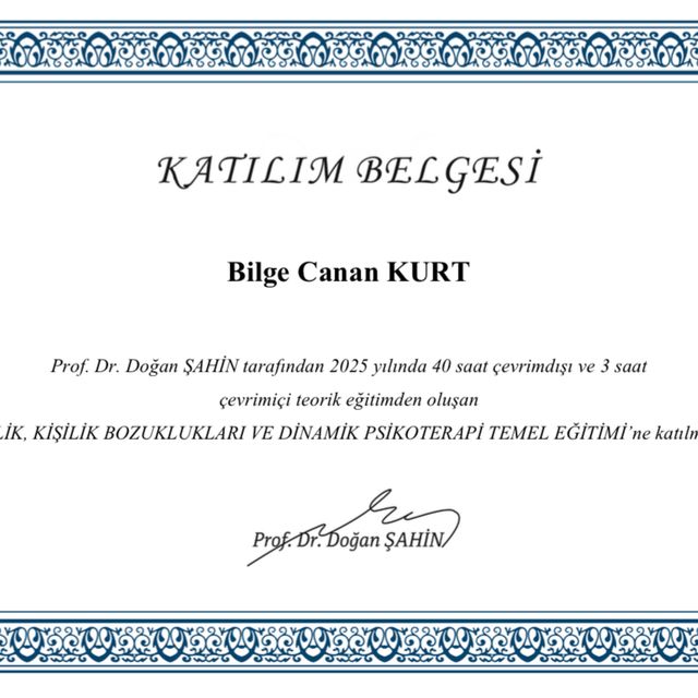 Resmi büyüt: certificate 11