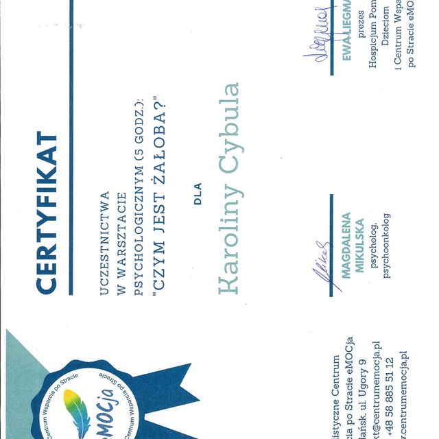 Powiększ obraz: certificate 1