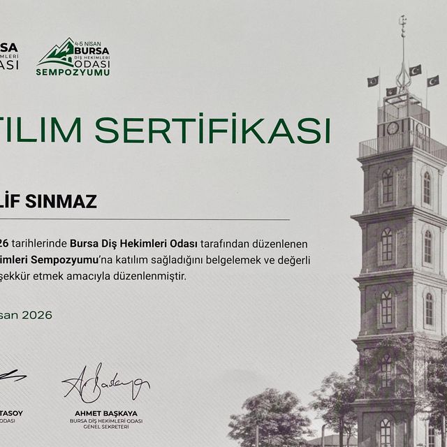 Resmi büyüt: certificate 7