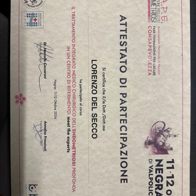 Ingrandire l'immagine: certificate 1