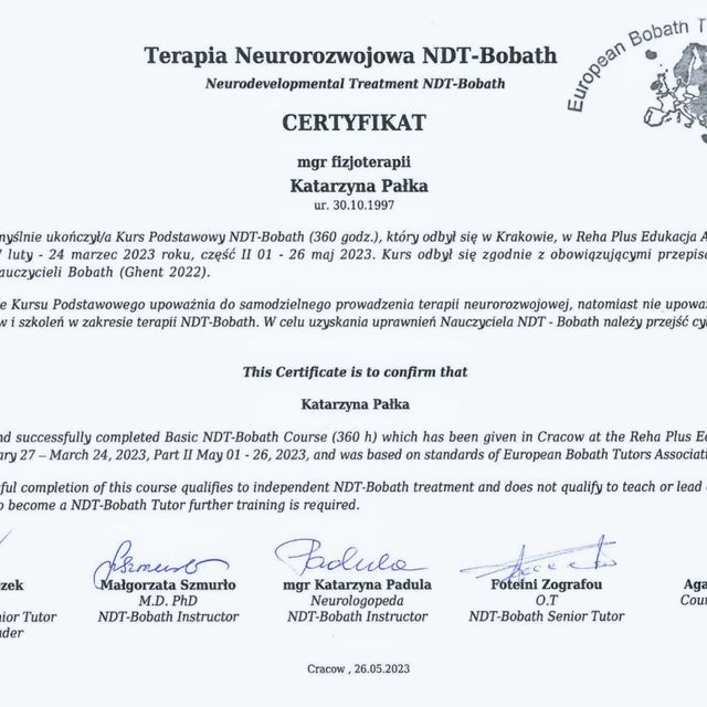 Powiększ obraz: certificate 1