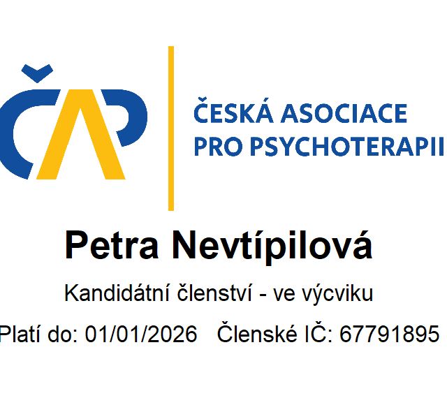 Zvětšit obrázek: certificate 9