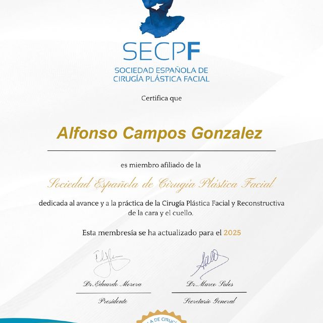 Acercar imagen: certificate 3