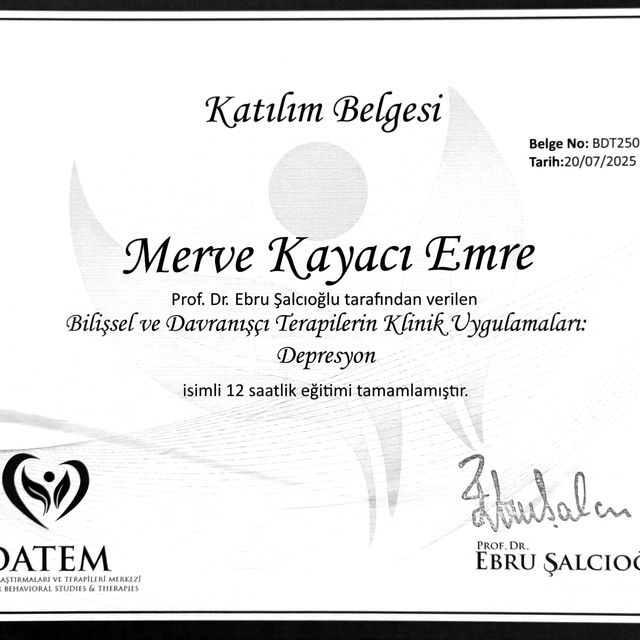 Resmi büyüt: certificate 11