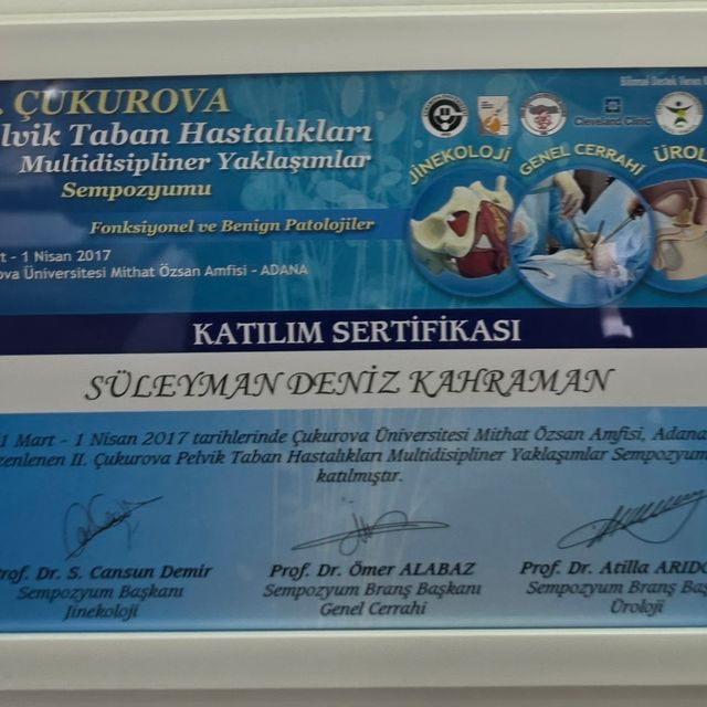 Resmi büyüt: certificate 7